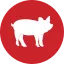 icon varken